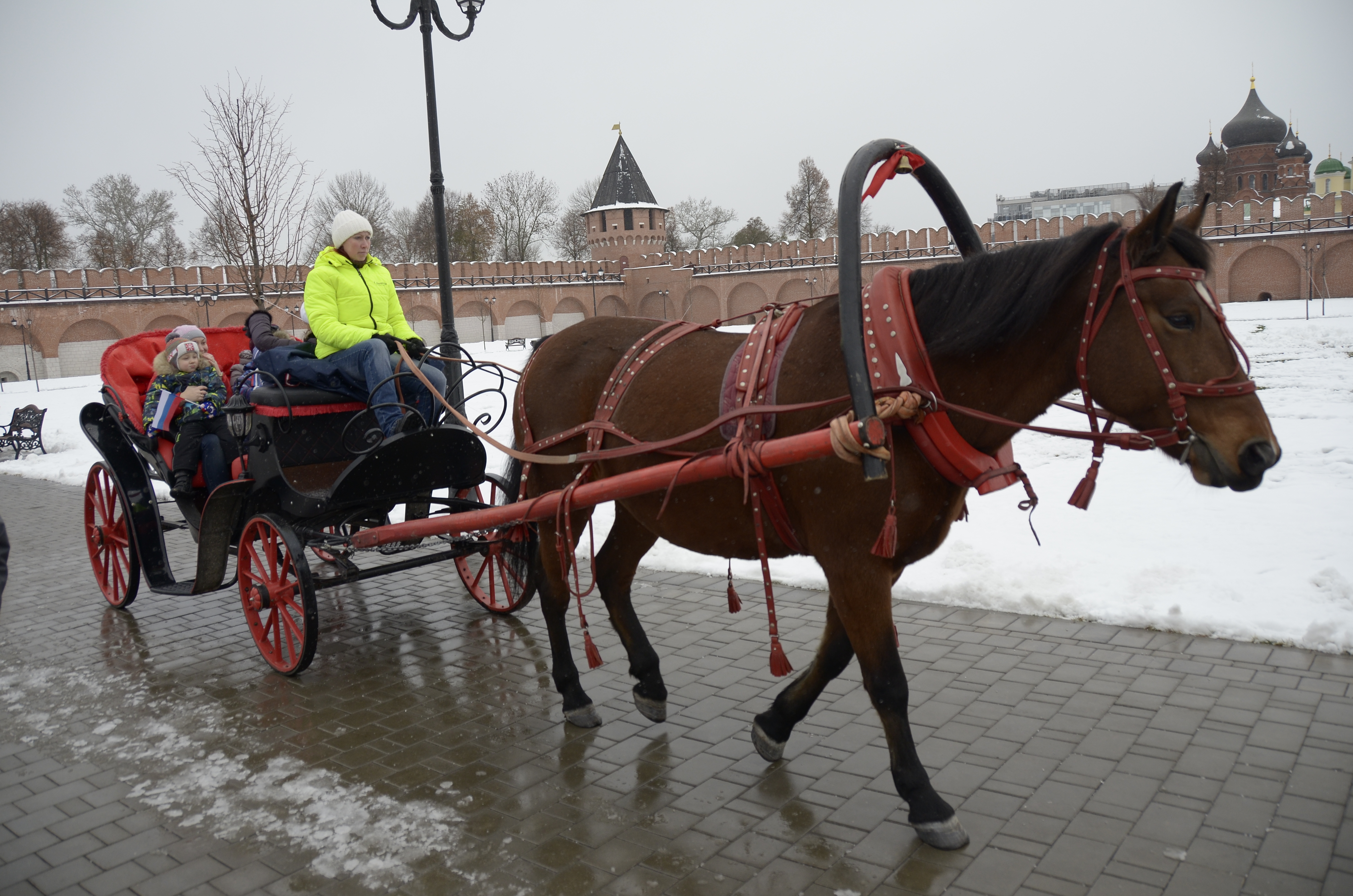 кто сегодня приезжает в тулу